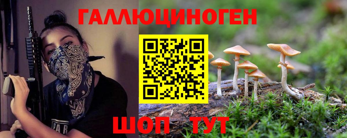 Псилоцибиновые грибы мухоморы Назрань